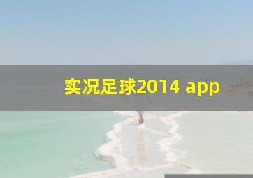 实况足球2014 app